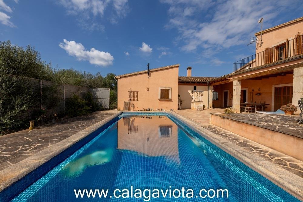 Villa in ses Salines, Balearic Islands, Spain 3 - 15432339