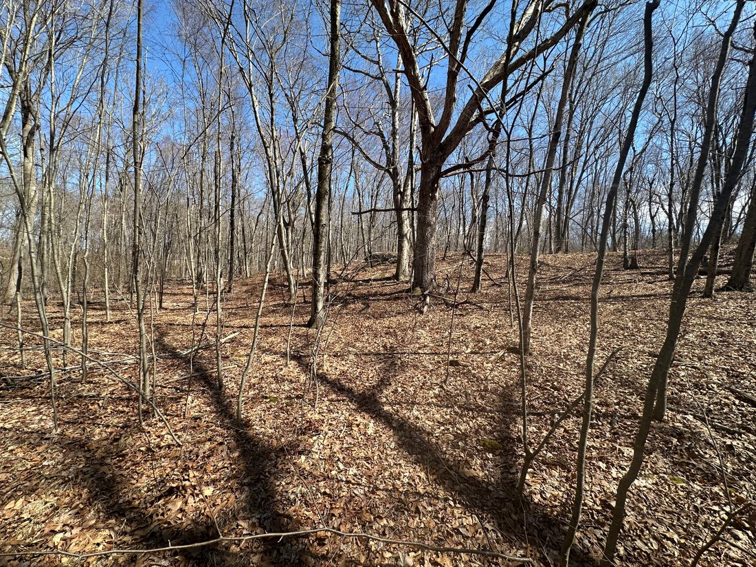 Land in Woodbury, Connecticut, United States 4 - 15435679