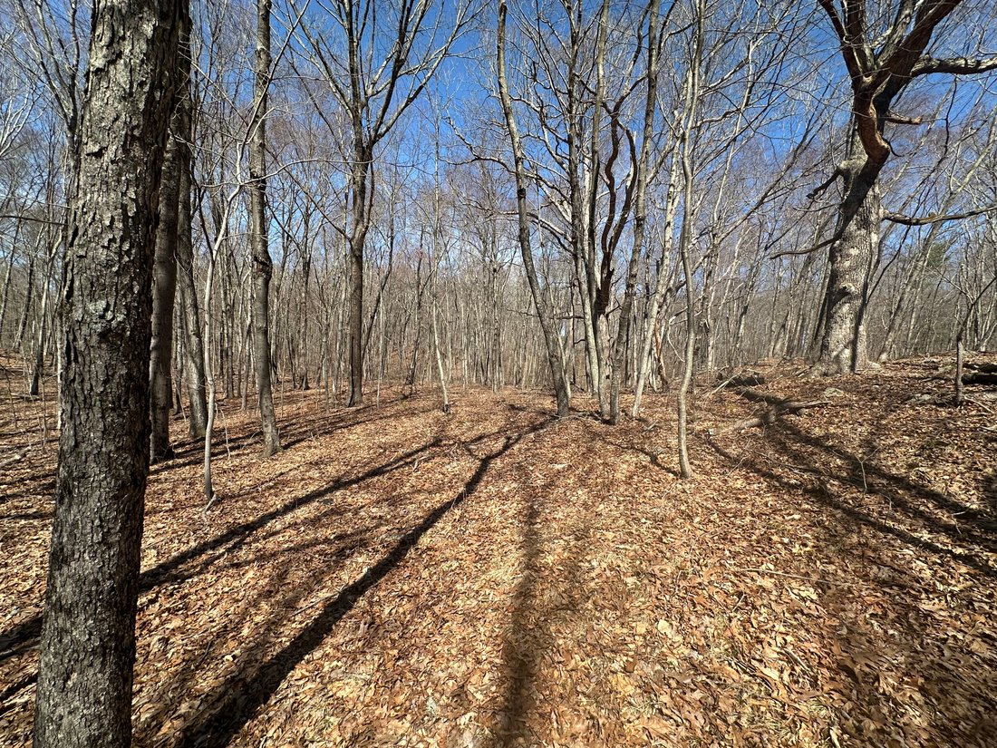 Land in Woodbury, Connecticut, United States 1 - 15435679