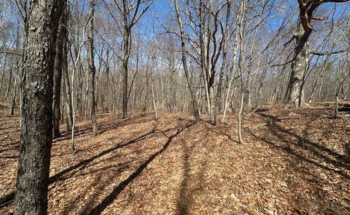 Land in Woodbury, Connecticut, United States 1