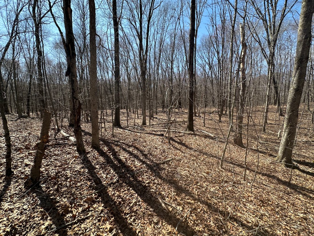 Land in Woodbury, Connecticut, United States 5 - 15435679