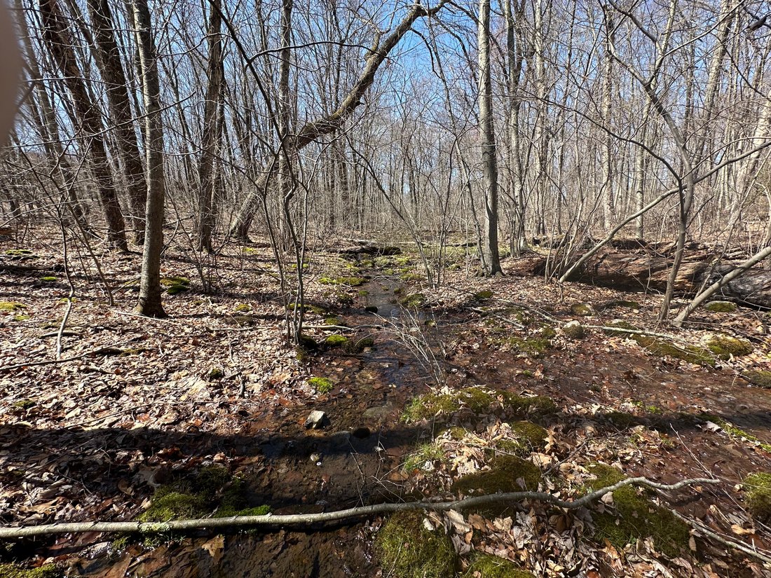 Land in Woodbury, Connecticut, United States 3 - 15435679
