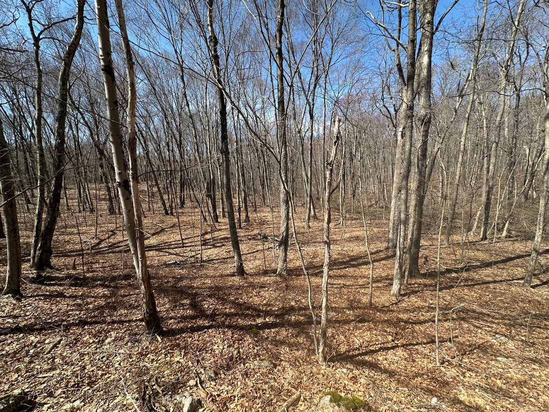 Land in Woodbury, Connecticut, United States 2 - 15435679