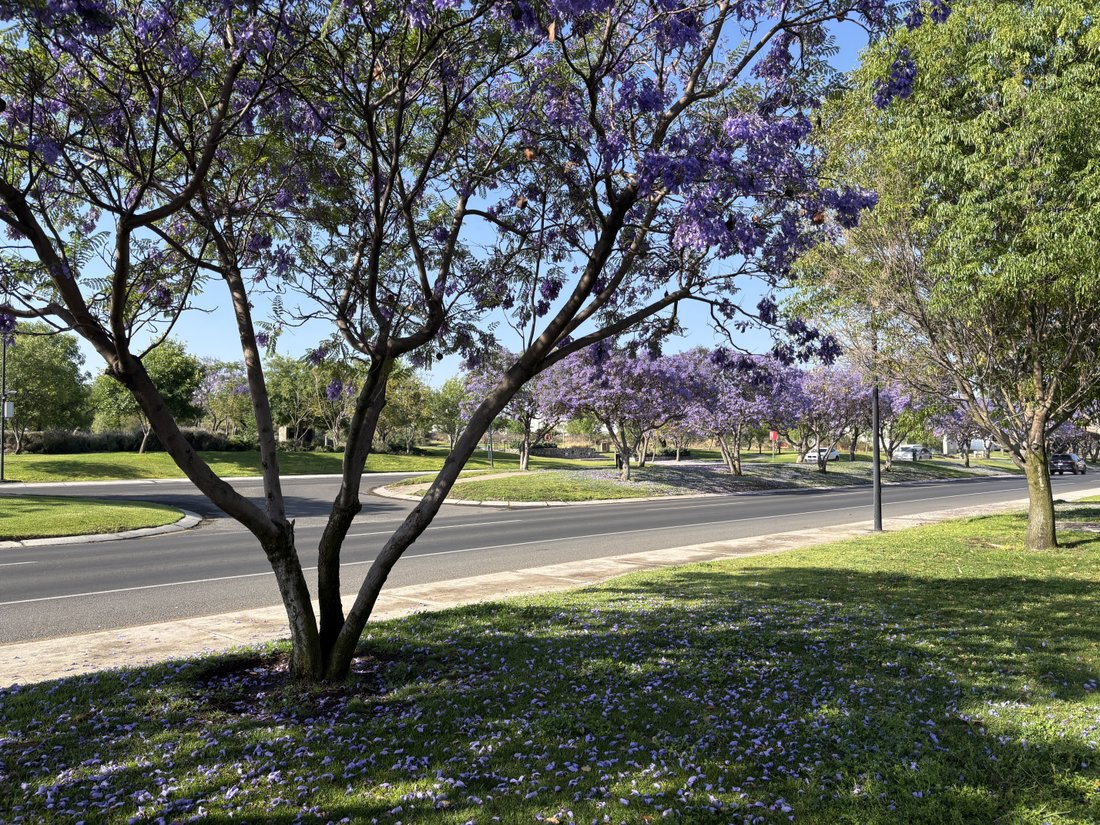 Land in Santiago de Querétaro, Querétaro, Mexico 5 - 15435681