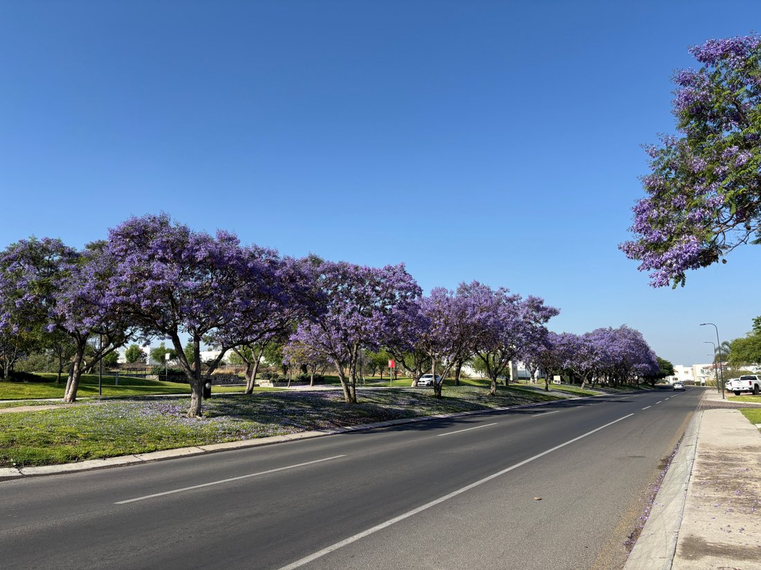 Land in Santiago de Querétaro, Querétaro, Mexico 1 - 15435681