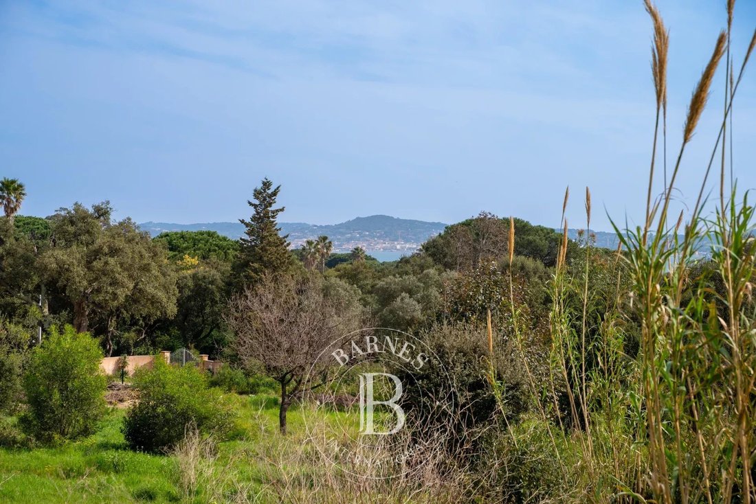 Land in Grimaud, Provence-Alpes-Côte d'Azur, France 2 - 15437122
