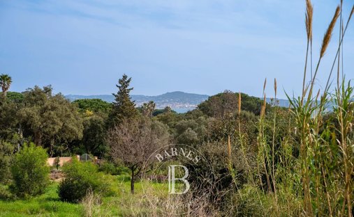 Land in Grimaud, Provence-Alpes-Côte d'Azur, France 1
