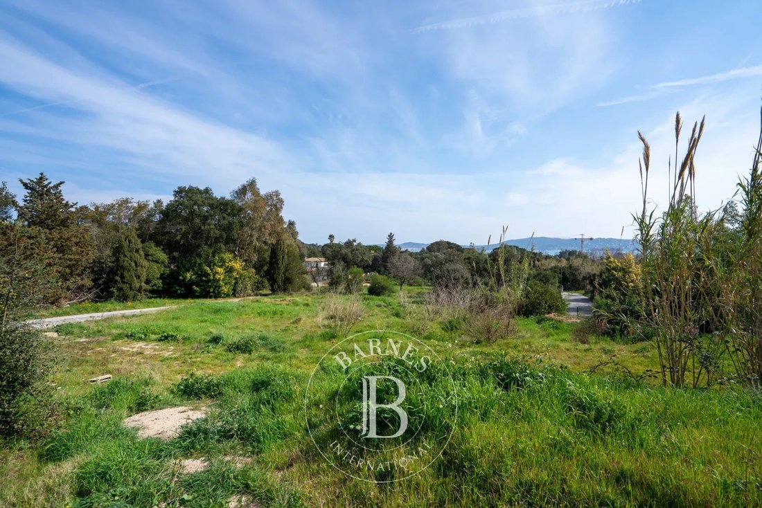 Land in Grimaud, Provence-Alpes-Côte d'Azur, France 4 - 15437122