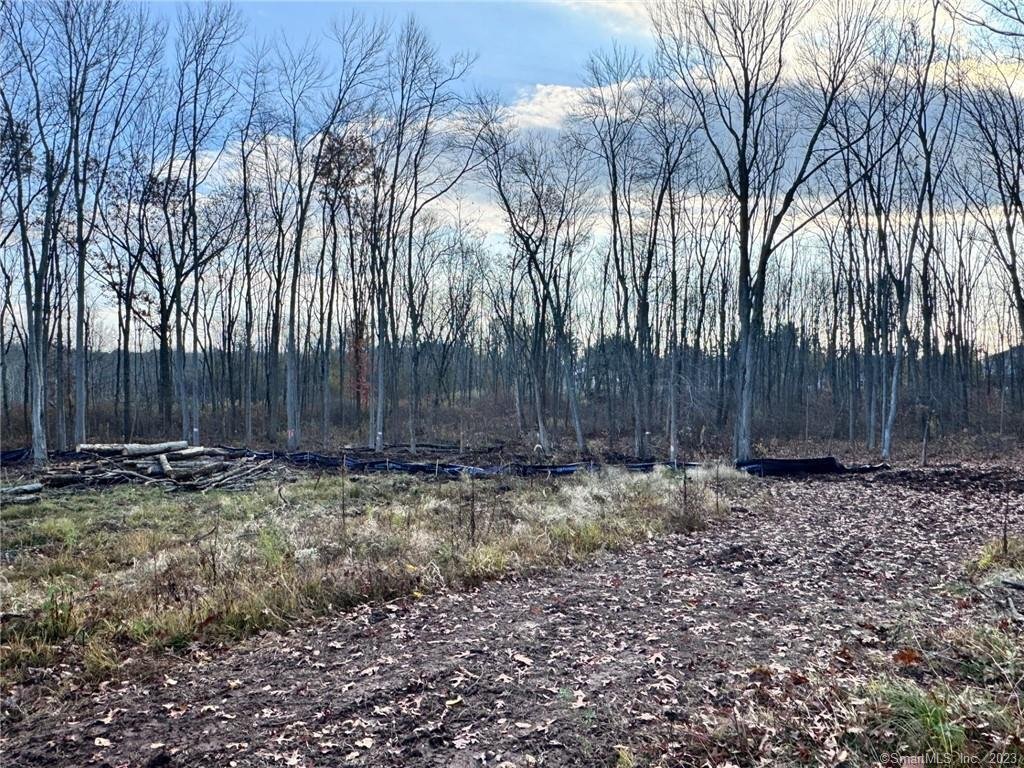 Land in Newington, Connecticut, United States 3 - 15438288