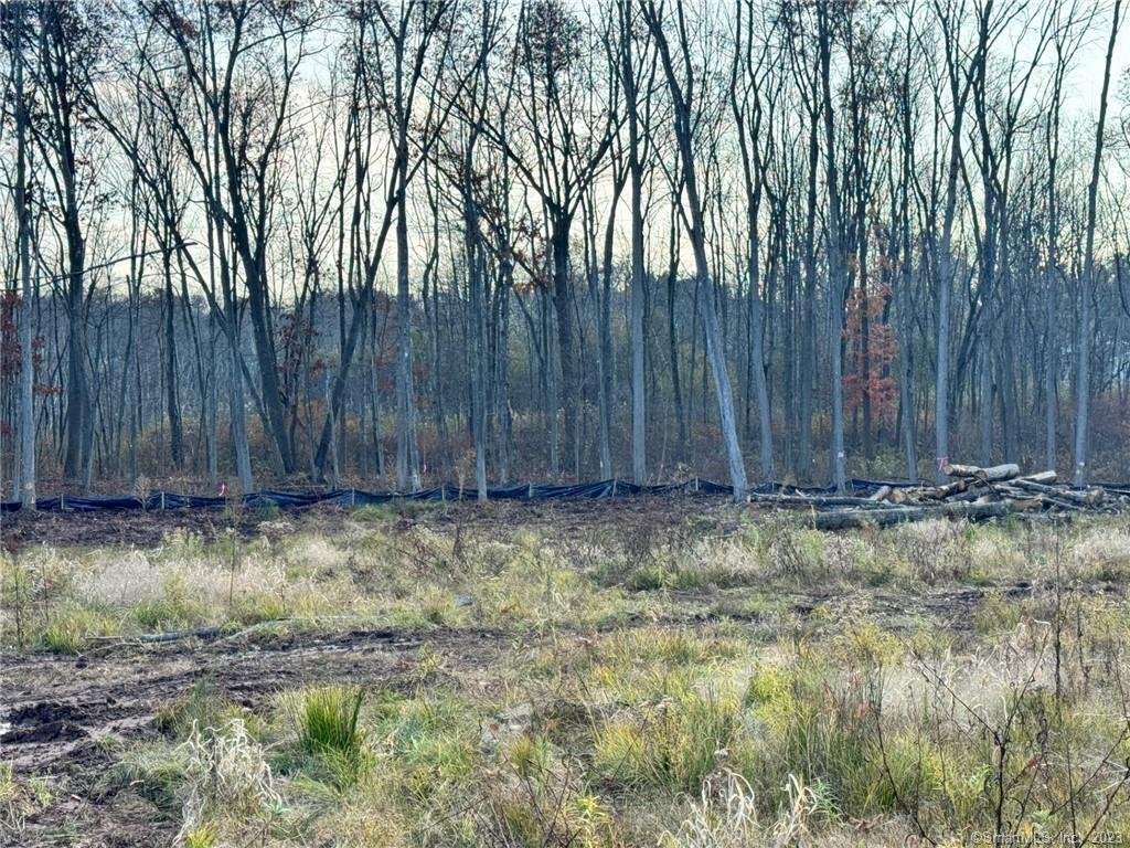 Land in Newington, Connecticut, United States 4 - 15438288