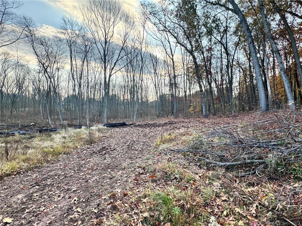 Land in Newington, Connecticut, United States 5 - 15438288