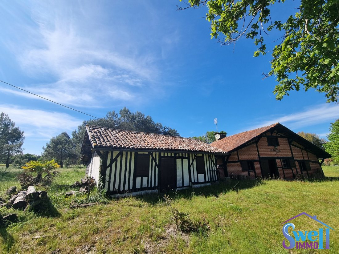 House in Moliets-et-Maa, Nouvelle-Aquitaine, France 4 - 15441506