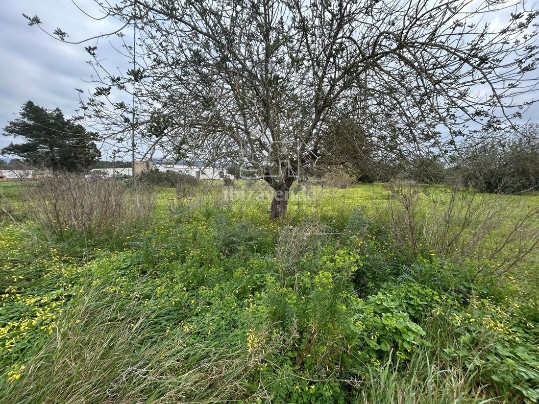 Finca in Santa Eularia des Riu, Balearic Islands, Spain 1 - 15441842