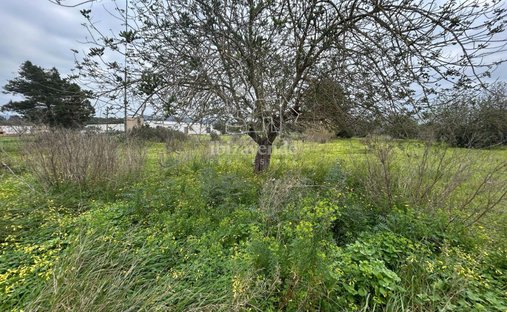 Finca in Santa Eularia des Riu, Balearic Islands, Spain 1