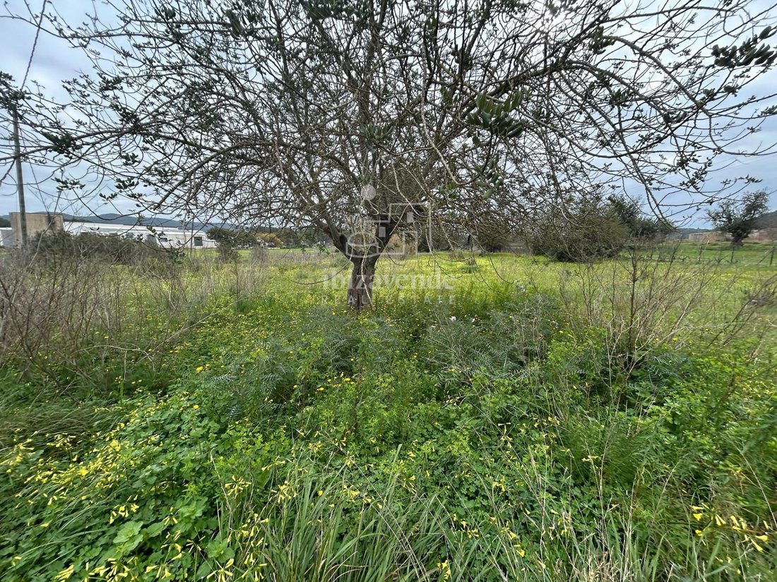 Finca in Santa Eularia des Riu, Balearic Islands, Spain 2 - 15441842