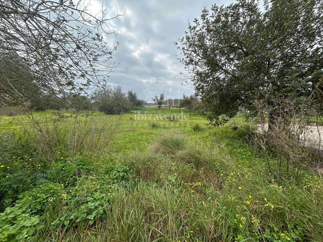 Finca in Santa Eularia des Riu, Balearic Islands, Spain 4 - 15441842