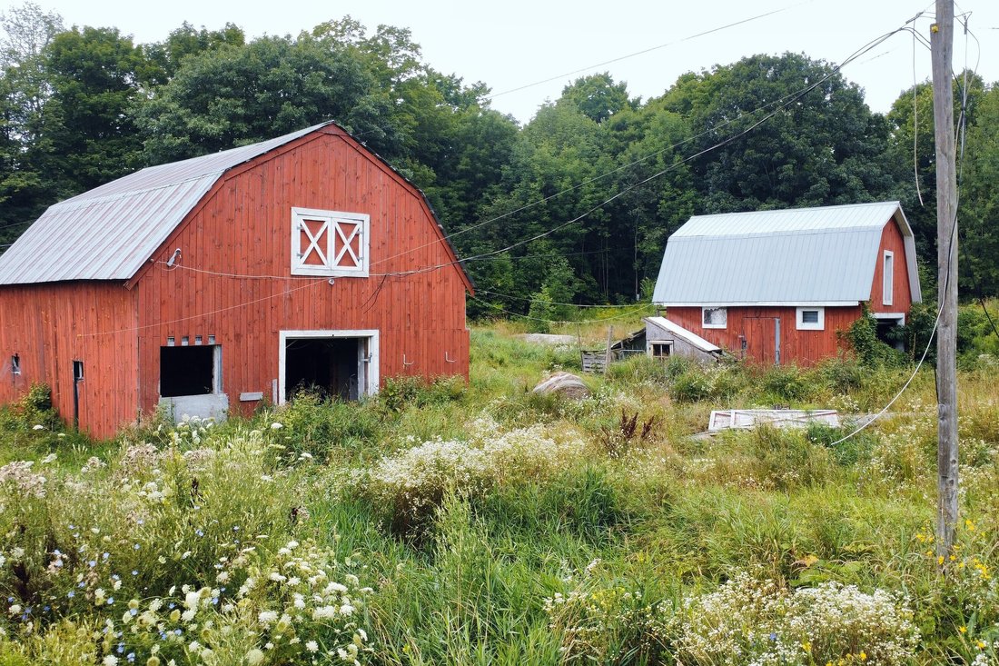 Farm Ranch in Gravenhurst, Ontario, Canada 3 - 15440692