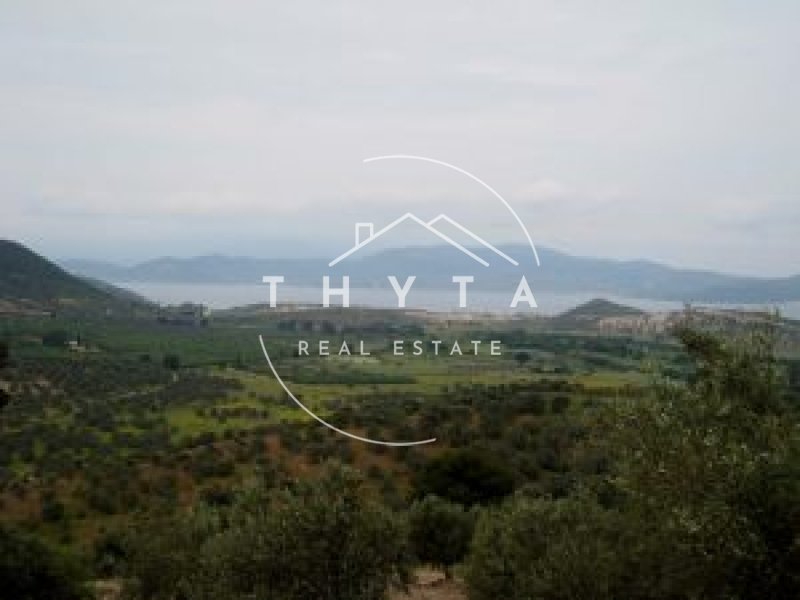 Land in Istiaia-Aidipsos, Thessaly and Central Greece, Greece 2 - 15438986