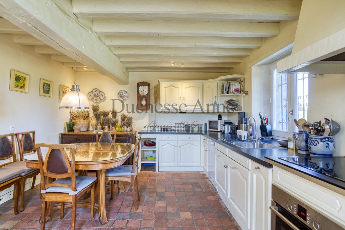 Whispers of 1750: A Sunlit Haven Where Vines Embrace Stone