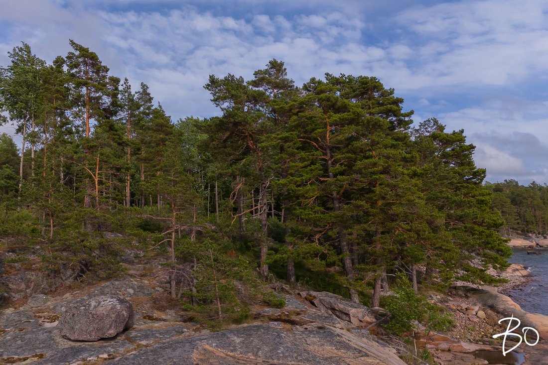 Land in Finland 4 - 15450411