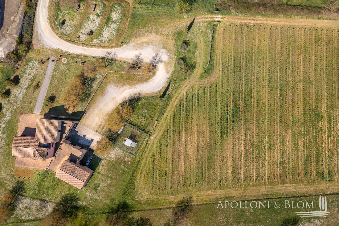 Rancho en Abbadia, Toscana, Italia 3 - 15447563