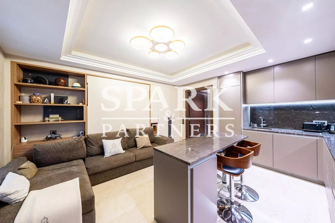 Apartment in Monaco, Monaco 4 - 15398997
