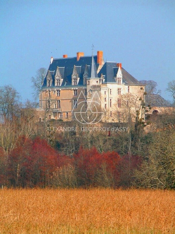 Superb Historic 15th Century In Sablé Sur Sarthe, Pays De La Loire, France For Sale (15446378)