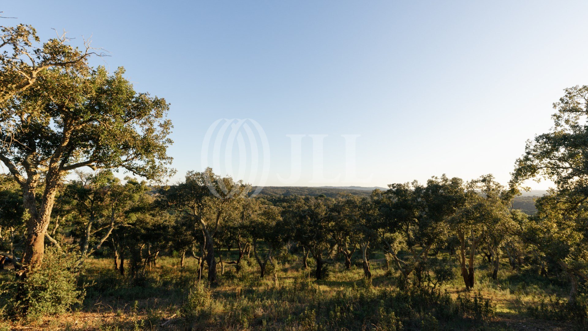 Land for sale in Santiago do Cacém, Portugal — €1,190,000