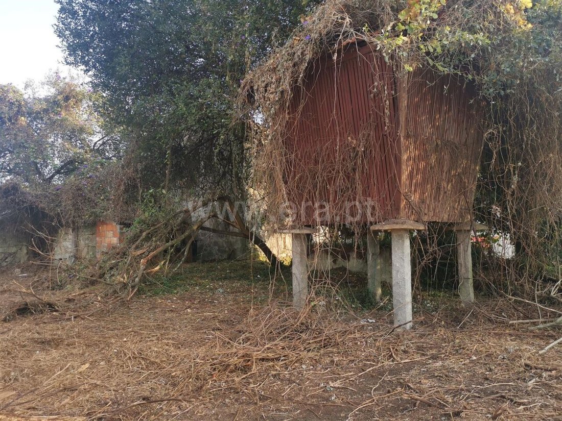Farm Ranch in Avintes, Porto District, Portugal 1 - 15443548