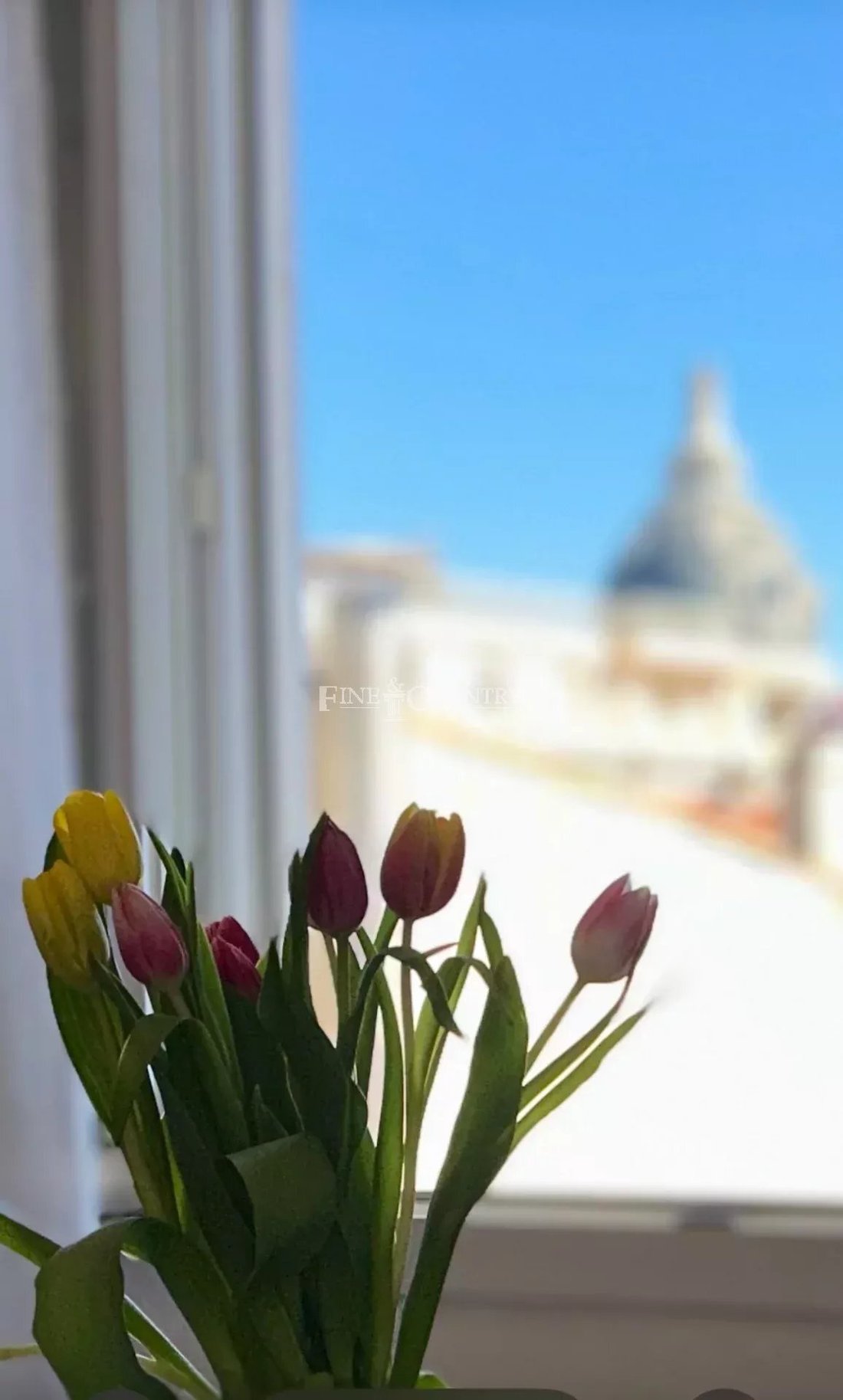Apartment in Cannes, Provence-Alpes-Côte d'Azur, France 3 - 15449636
