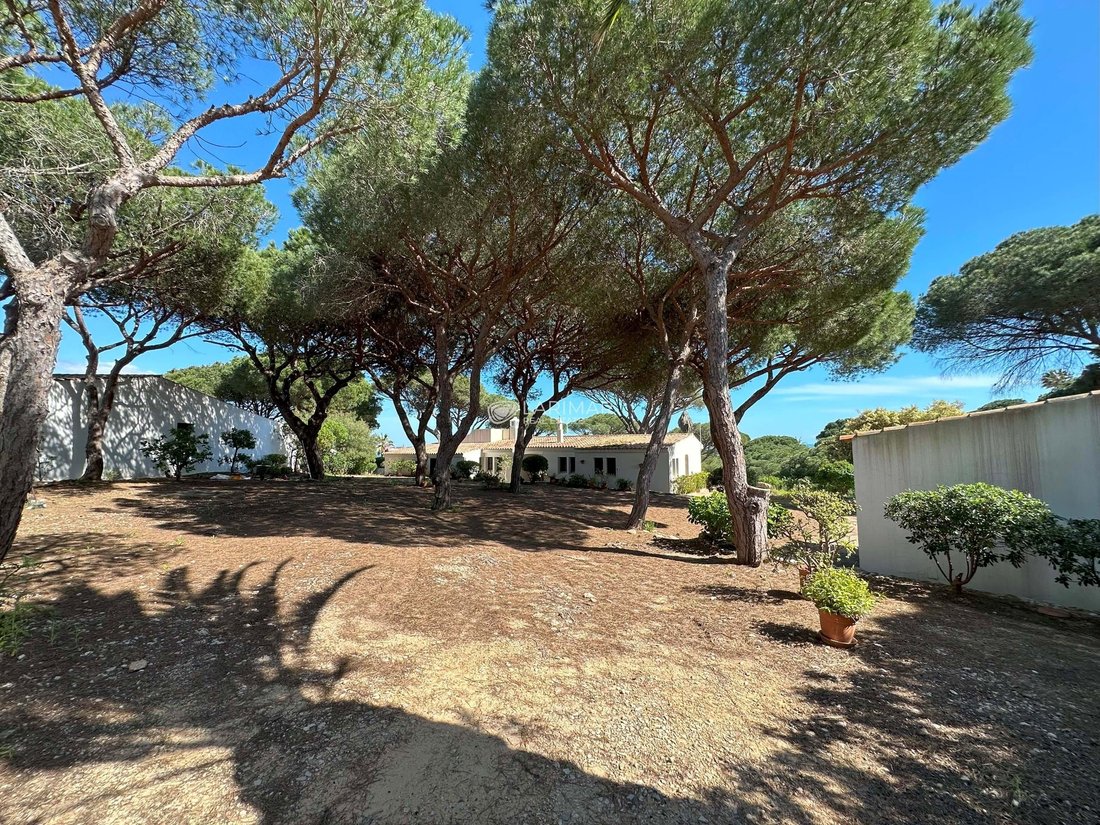 Villa in Olhos de Agua, Algarve, Portugal 5 - 15449566