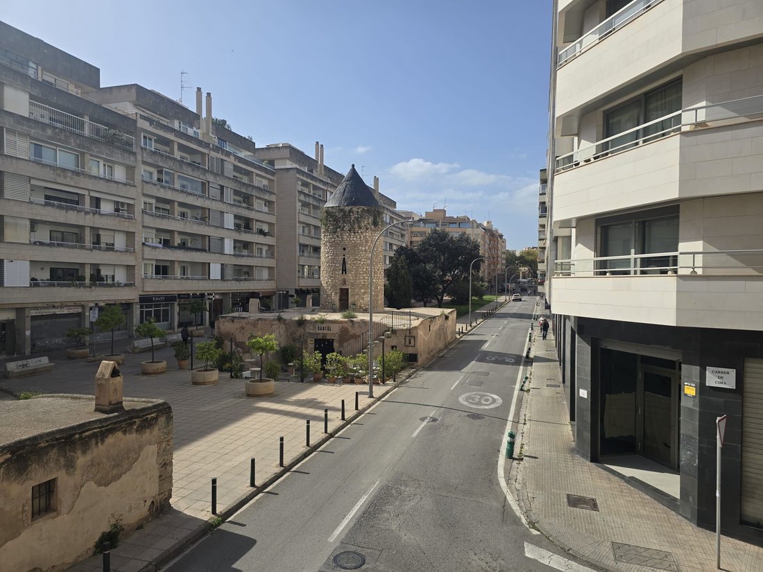 Apartment in Palma, Balearic Islands, Spain 1 - 15446409