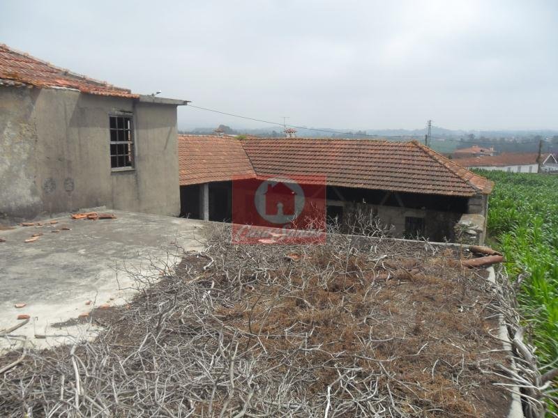 Farm Ranch in Rates, Porto District, Portugal 2 - 15450183