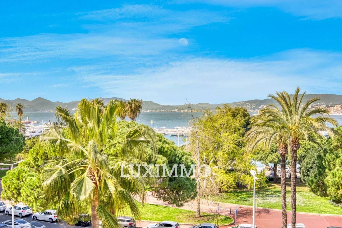Apartment in Cannes, Provence-Alpes-Côte d'Azur, France 2 - 15448781