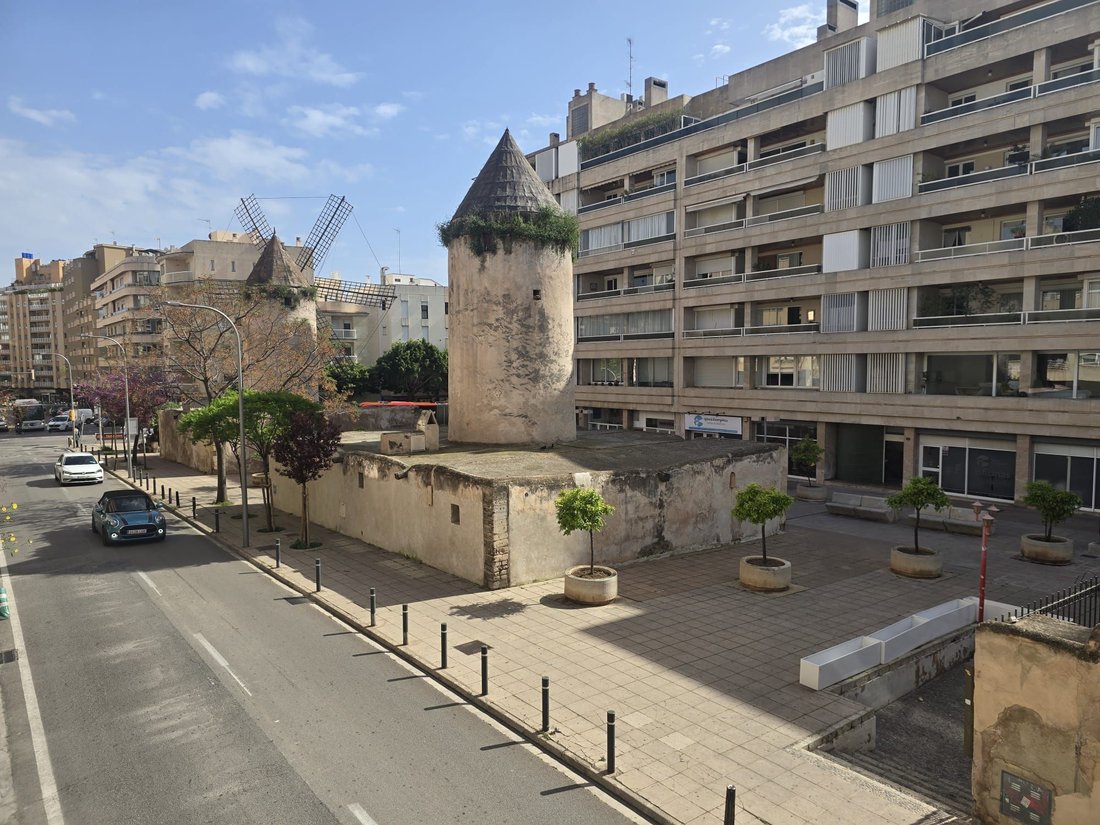 Apartment in Palma, Balearic Islands, Spain 2 - 15446409
