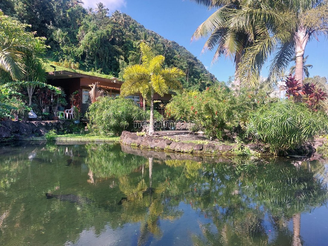 Villa in Paparā, Windward Islands, French Polynesia 3 - 15450003