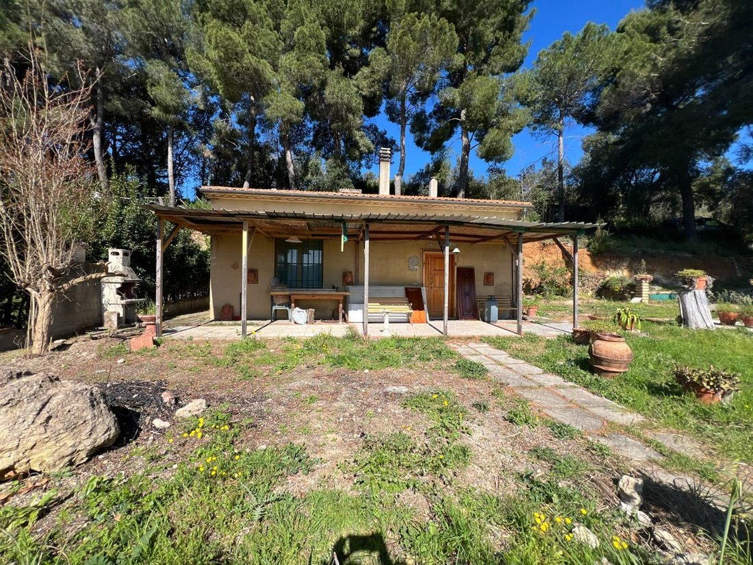 House in Bibbona, Tuscany, Italy 2 - 15449701