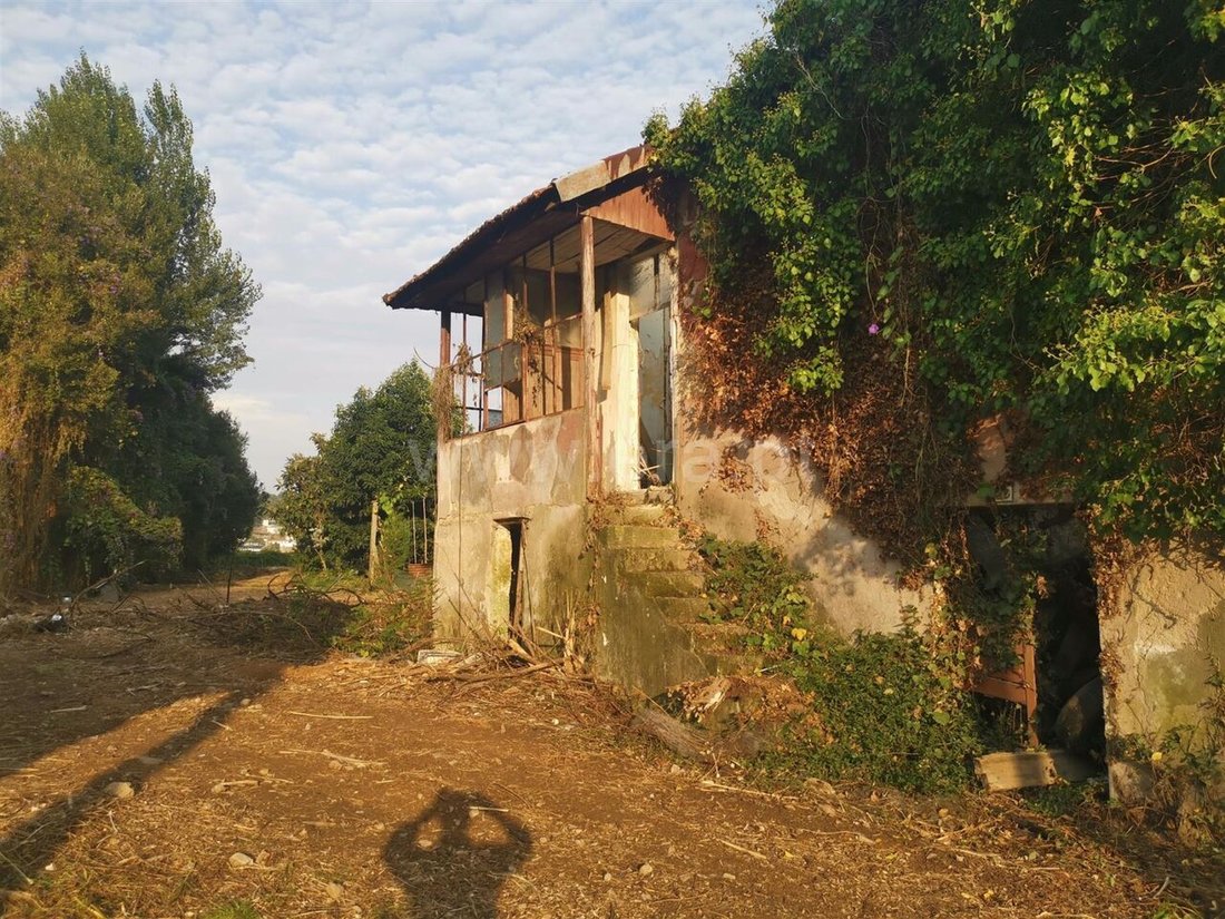 Farm Ranch in Avintes, Porto District, Portugal 2 - 15443548