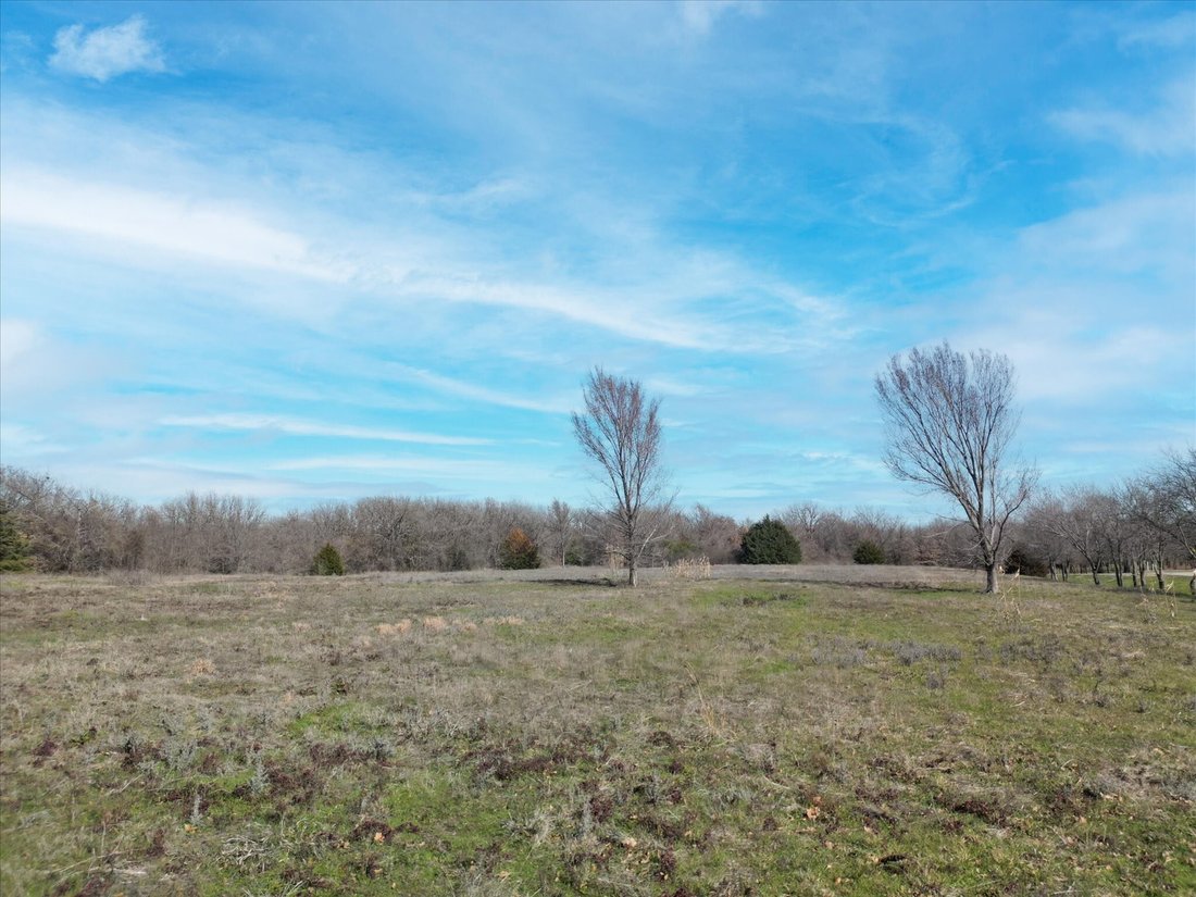 Farm Ranch in Pilot Point, Texas, United States 4 - 15449530
