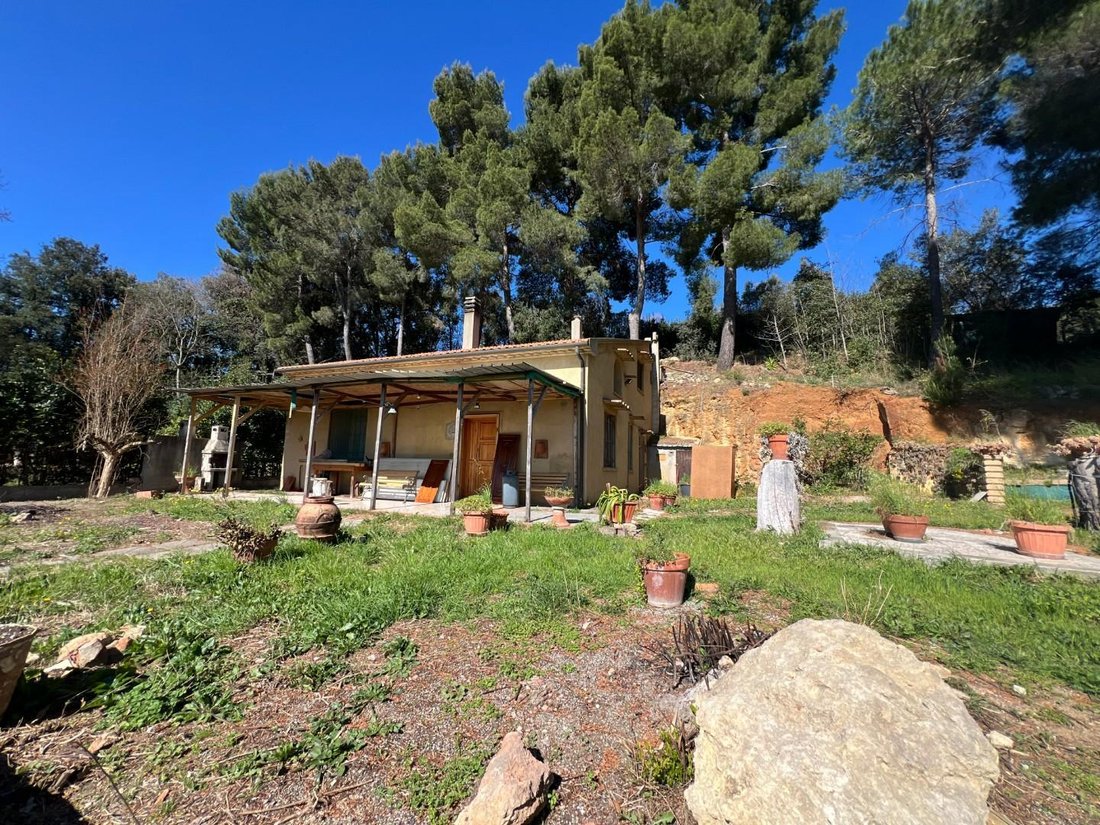 House in Bibbona, Tuscany, Italy 4 - 15449701