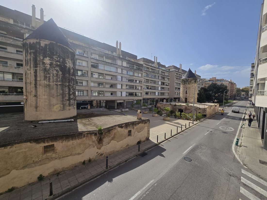 Apartment in Palma, Balearic Islands, Spain 3 - 15446409