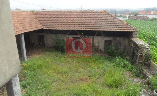 Farm Ranch in Rates, Porto District, Portugal 1