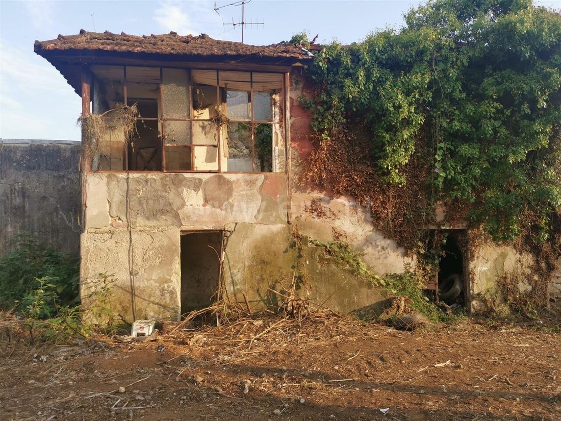Farm Ranch in Avintes, Porto District, Portugal 5 - 15443548