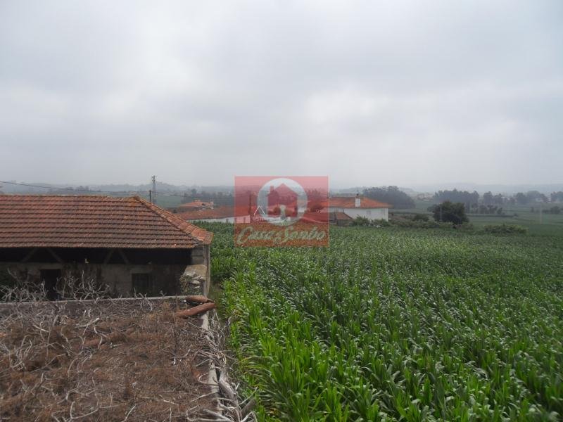 Farm Ranch in Rates, Porto District, Portugal 3 - 15450183