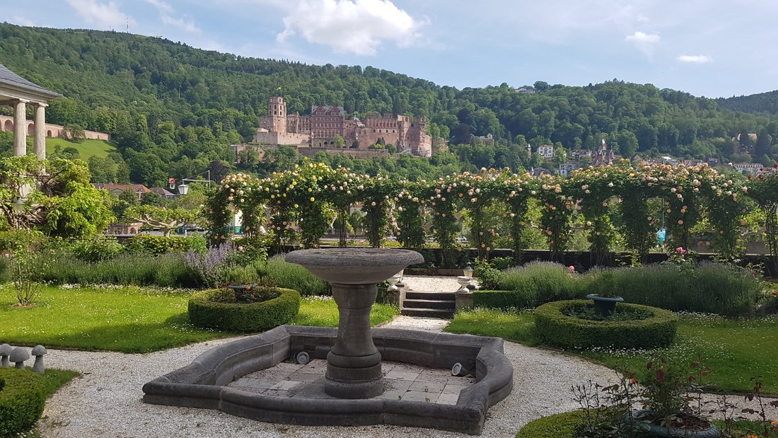 Heidelberg, Baden-Württemberg, Germany 4 - 15443190