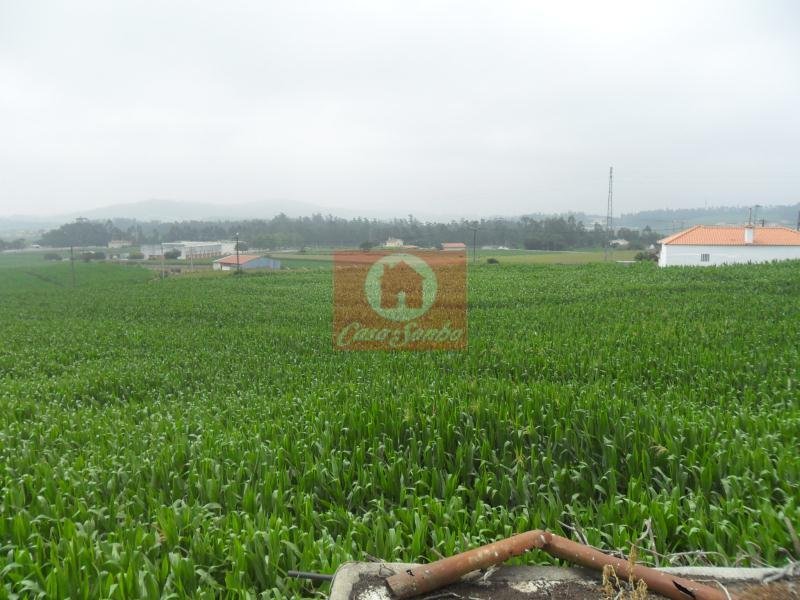 Farm Ranch in Rates, Porto District, Portugal 4 - 15450183