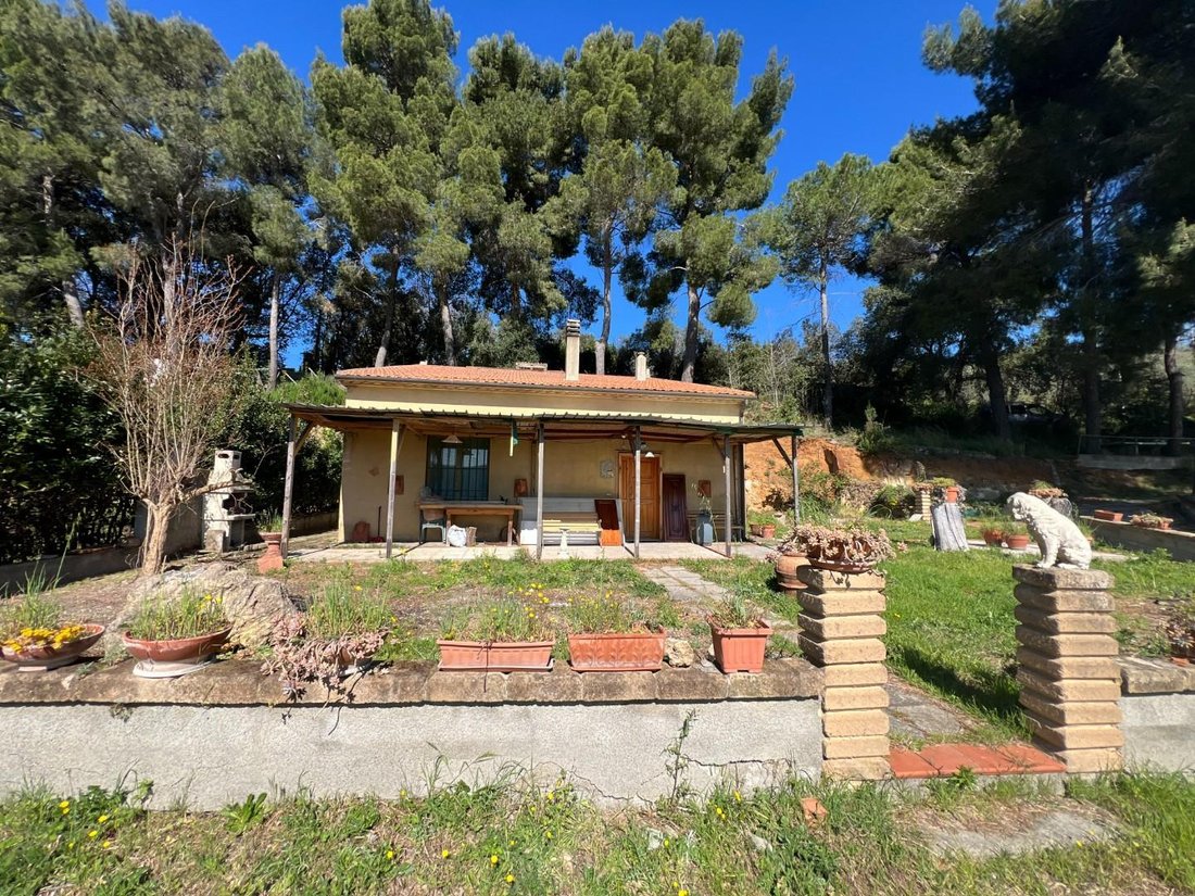 House in Bibbona, Tuscany, Italy 5 - 15449701