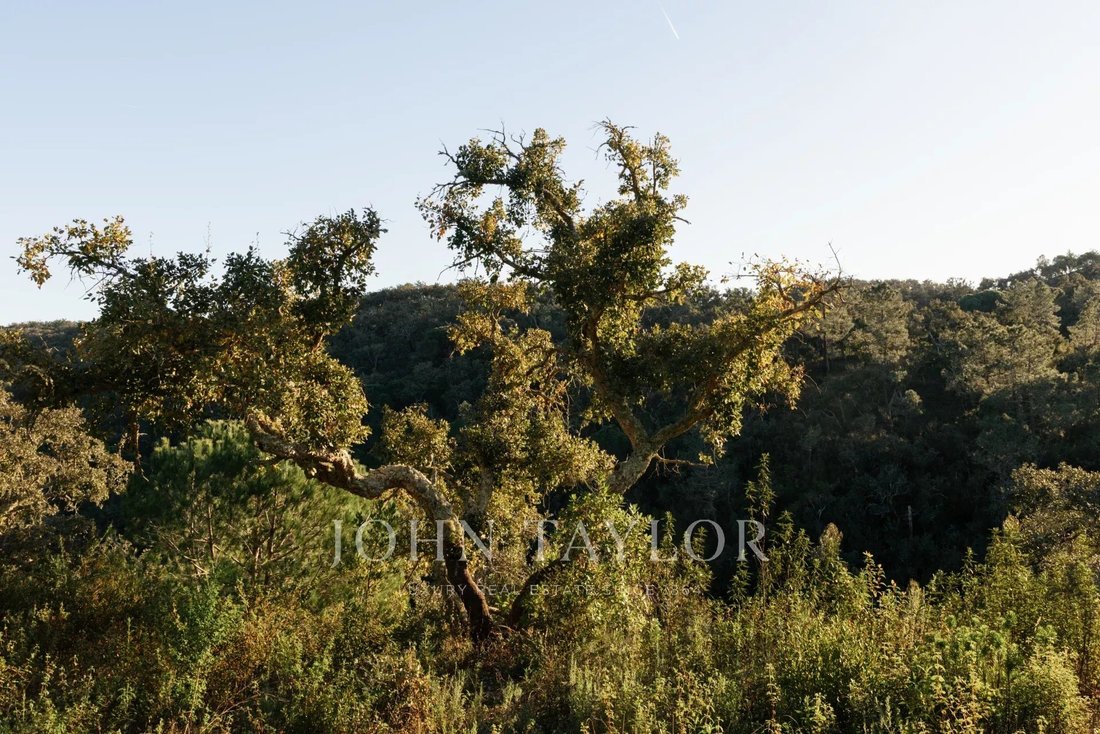 Land in Sao Francisco da Serra, Setubal, Portugal 3 - 15444725