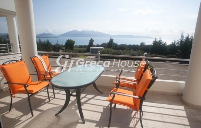 Kymi - Aliveri Anna, Thessaly and Central Greece, Greece 1 - 15449351