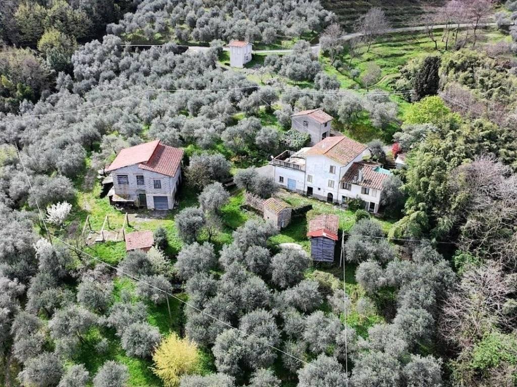 Pieve di Brancoli, Lucca, Tuscany 1 - 15183539
